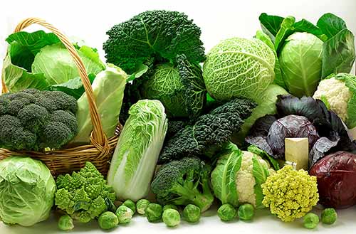 2. Bổ sung các loại rau trong bữa ăn và dùng chúng trước 1