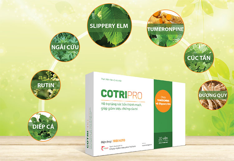 Cotripro - Bộ đôi từ thảo dược giúp co nhỏ búi trĩ, giảm đau rát trĩ 2
