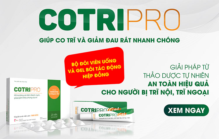 Cotripro - Bộ đôi từ thảo dược giúp co nhỏ búi trĩ, giảm đau rát trĩ 1
