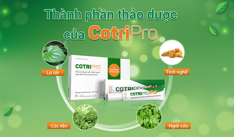 CotriPro giải pháp từ thảo dược tự nhiên giúp co trĩ và giảm đau rát trĩ 1