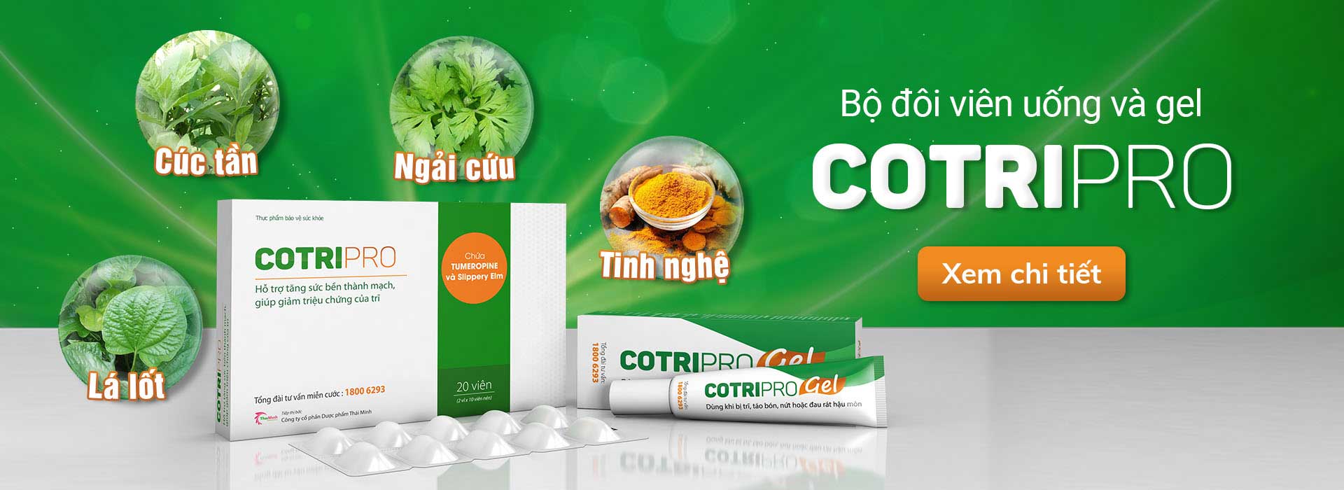 Cotripro - sản phẩm hỗ trợ điều trị bệnh trĩ 1