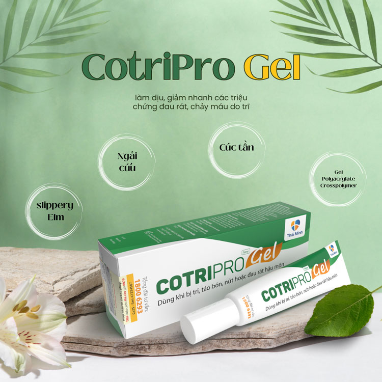 Cotripro gel giảm trĩ huyết khối